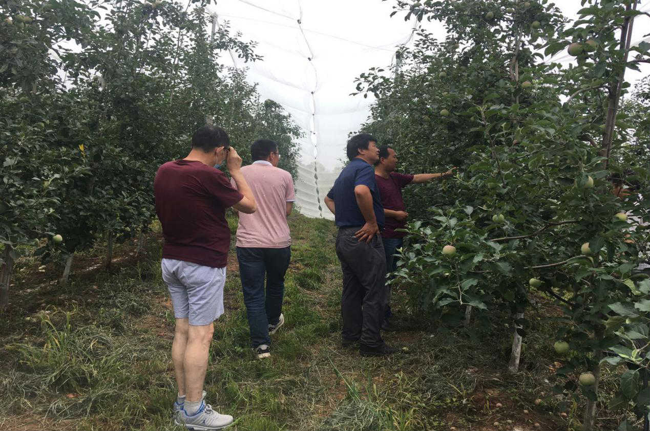 圖片6_meitu_16.jpg 圖片6_meitu_16.jpg