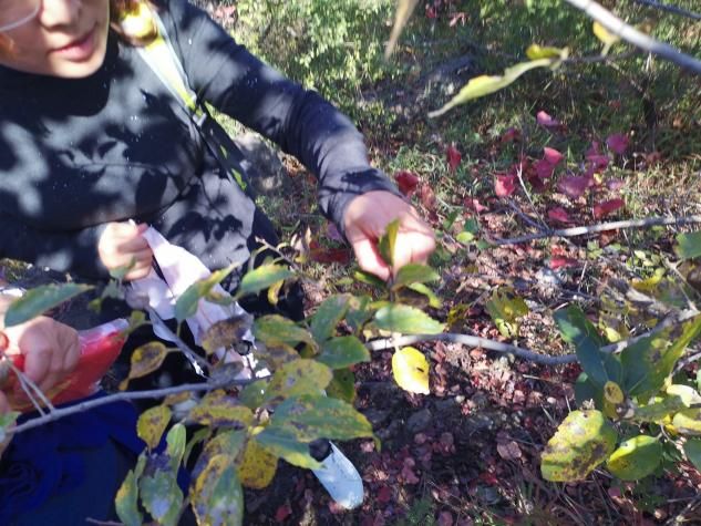 圖片3.jpg 圖片3.jpg